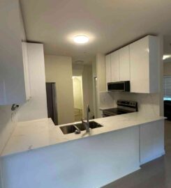 DMDi Renovation Services Inc.