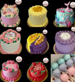 Ayla’s Cakes