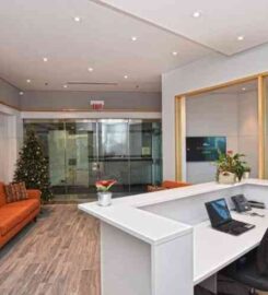 Ostler Legal Services