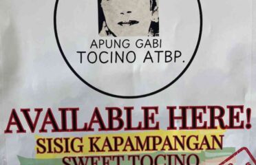 Apung Gabi Tocino atbp