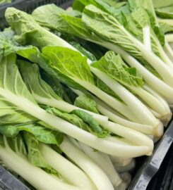 LOLA Supermarket – Moncton